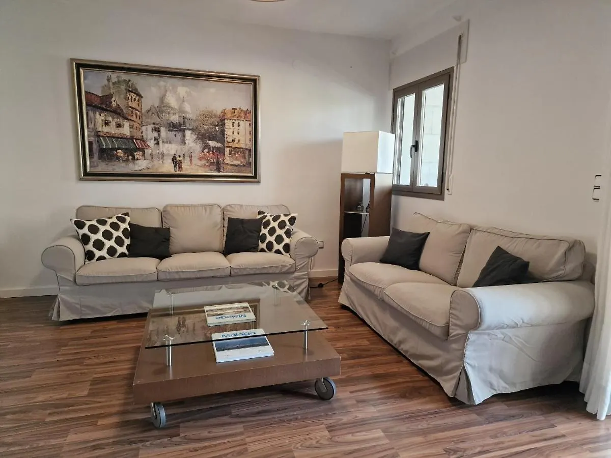 Gran Piso En Zona Comercial Malaga Apartment Spain